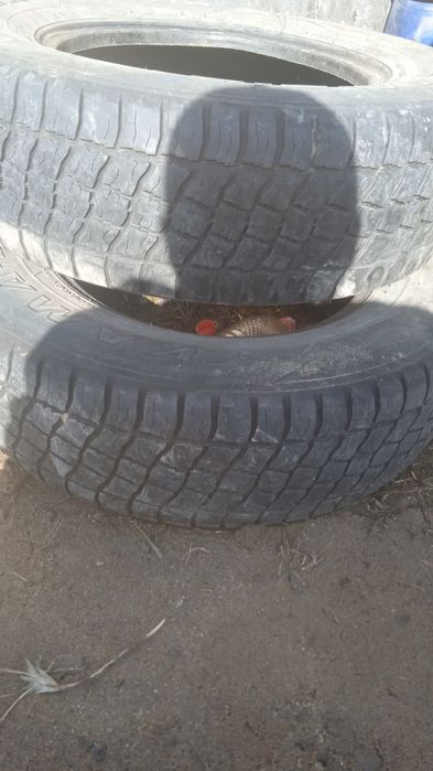 Продам покрышки срочно