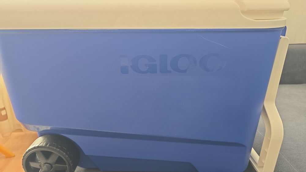 Lada frigorifica IGLOO