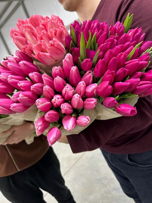 Тюльпаны оптом и розницу + упаковка в подарок