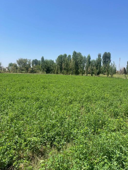 Продаётся 2 участка в одном месте!