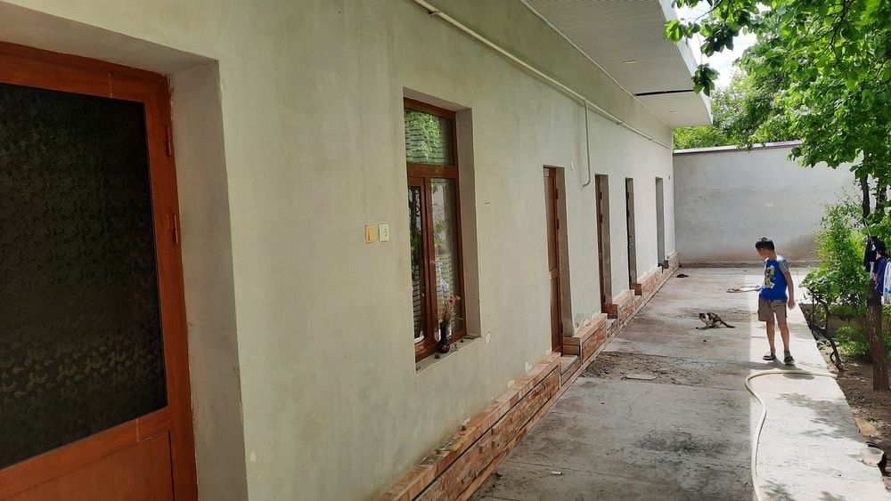 Ховли гулистон 3