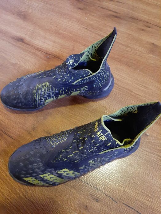 Сороконожки предатор