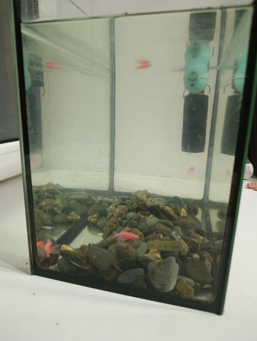 Продам аквариум на 12 л с рыбками