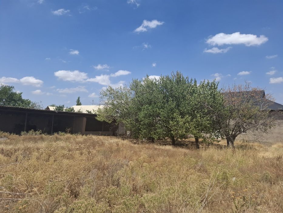 Продам дом Сайрам Абдулабад варианты имеется