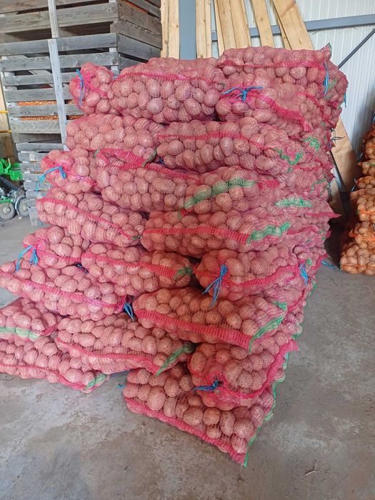 Vand cartofi de consum