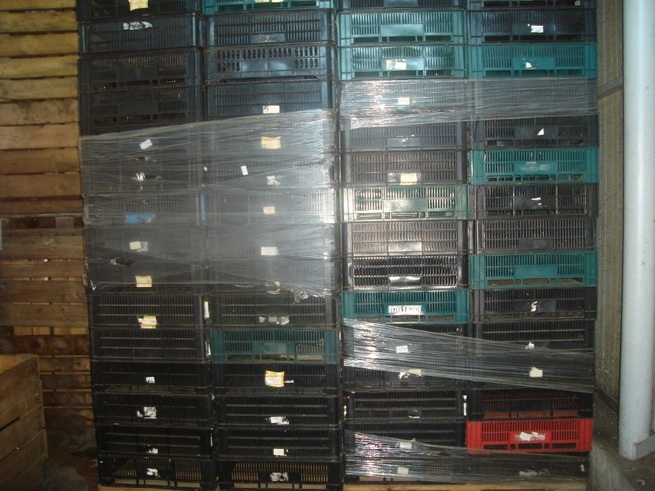 ambalaje lazi fructe