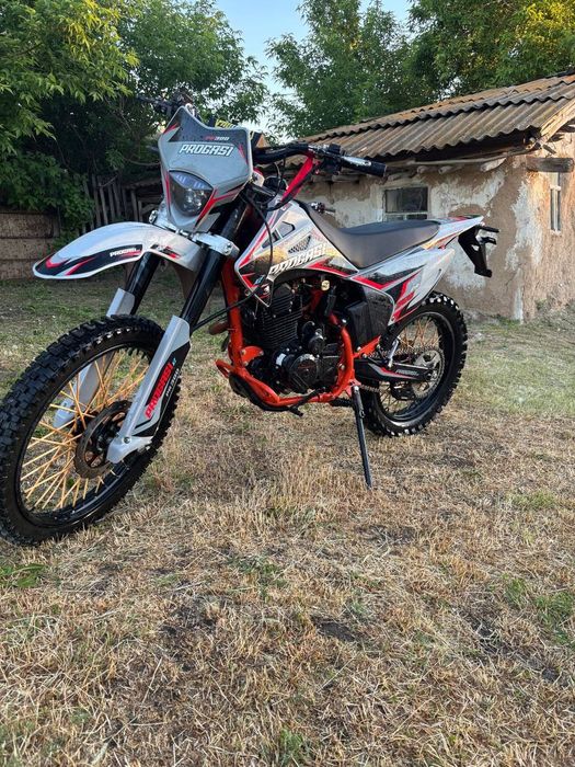 Progasi Palma 300