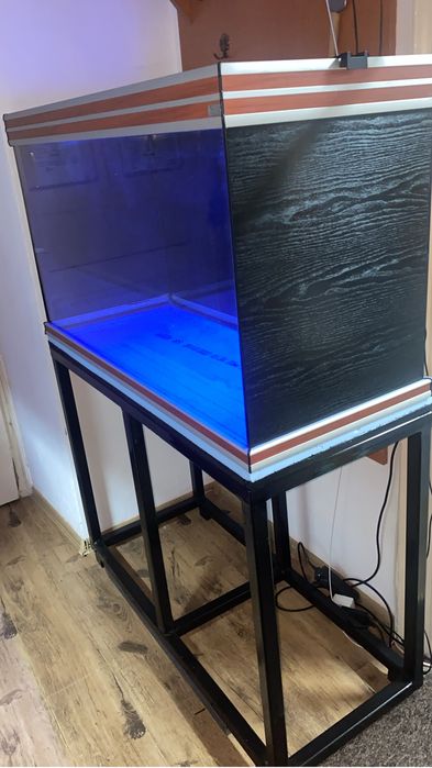 Servicii acvaristică