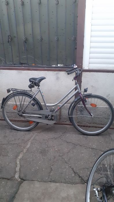 Bicicleta de dama