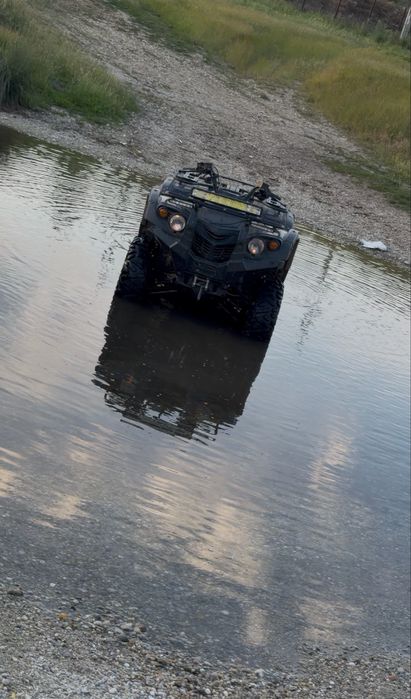 Grizzly de 500 cu acte
