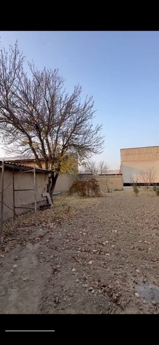 Янгиобод Мотрид Зудлик Билан 4сотикли но сотилади