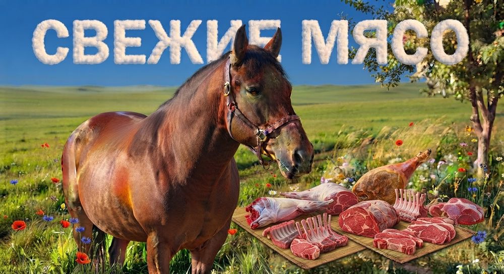 Продам 1.5 годовалых Лошадей