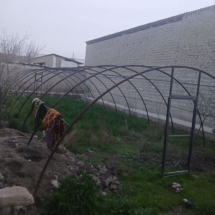 Parnik. Teplisa. Kulyonkasi yo‘q