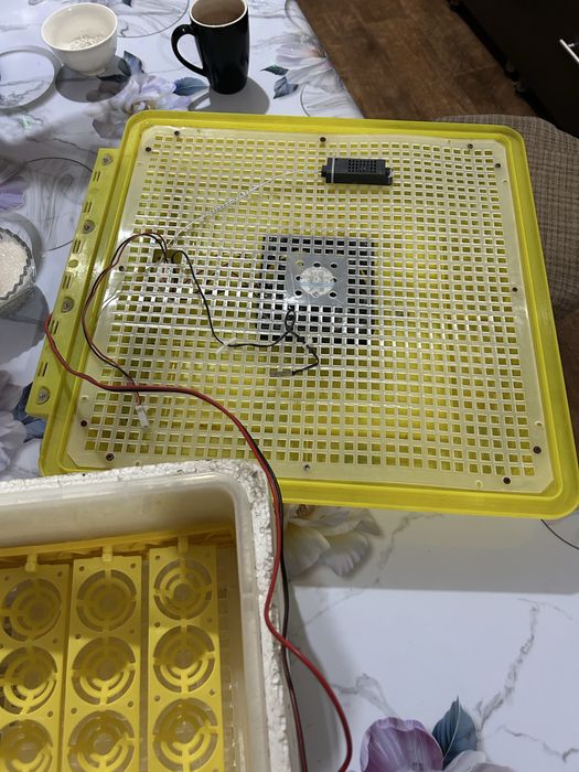 Инкубатор китайский