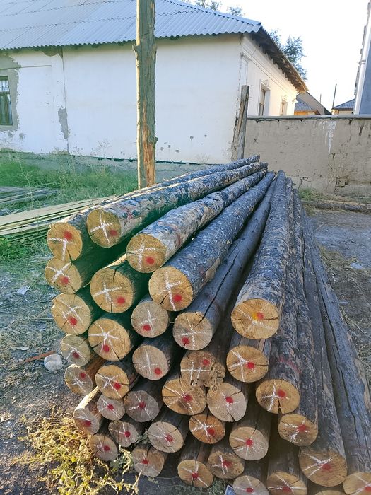Кришаға кругляктар бар