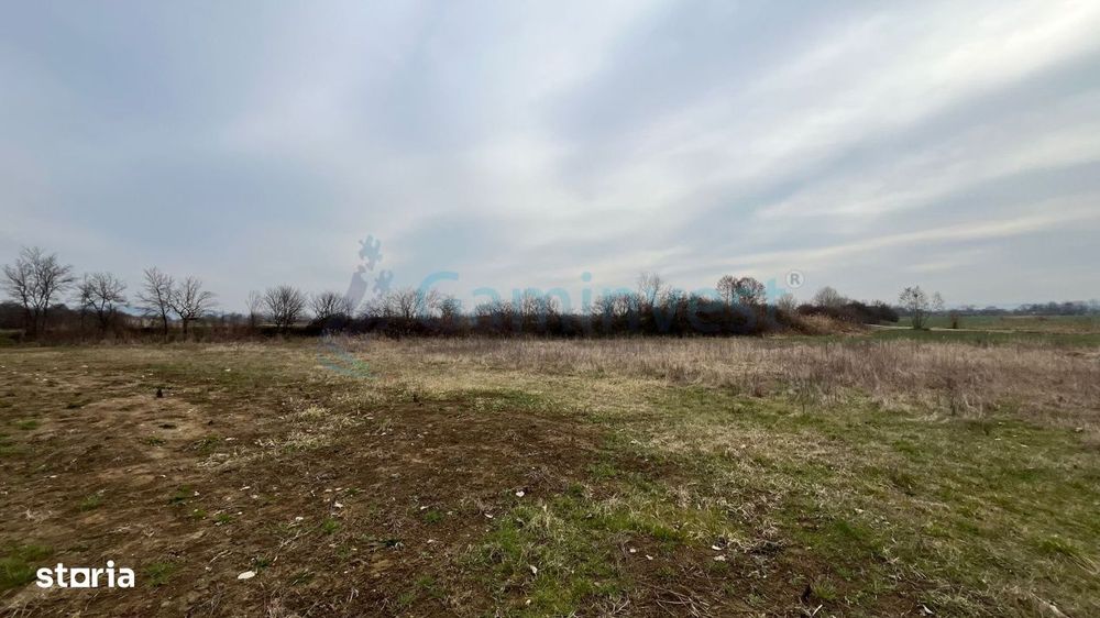 Teren intravilan 5700 mp de vanzare Podgoria, Gaminvest V4566