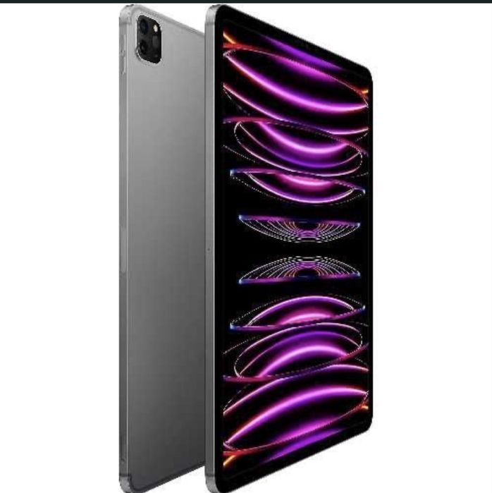 Ipad pro 12.9 celular 6th 256
