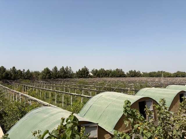 lssiqxona va yordamchi xo`jalik binolari