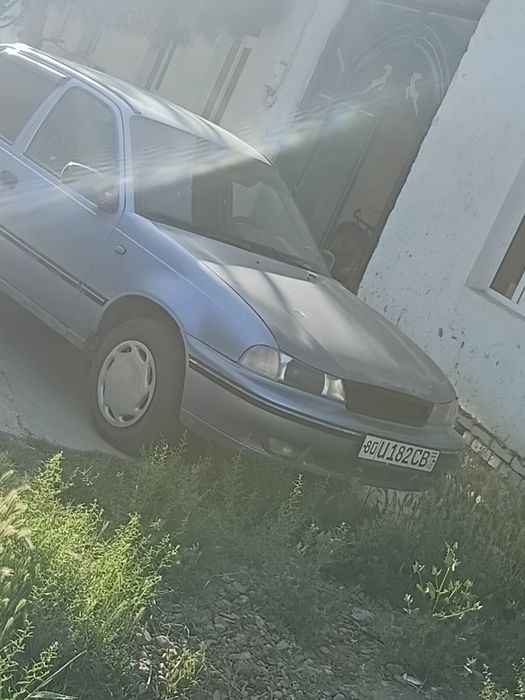 2007 yil metan 2023 yil