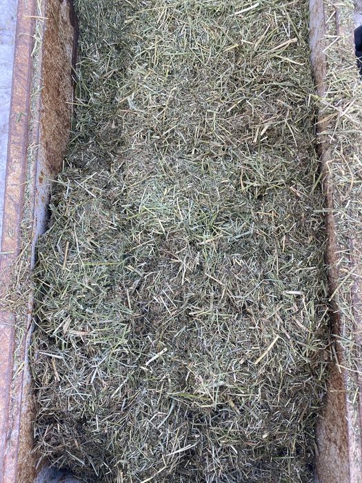 Сено дробленое в мешках