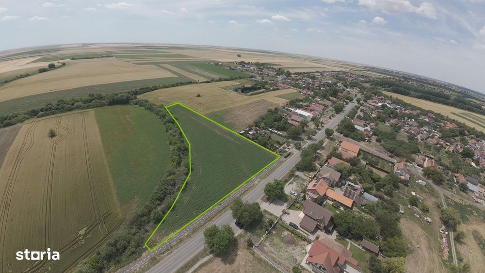 Teren intravilan Zadareni-Bodrogul Nou 8000mp / 141m front - Sosea