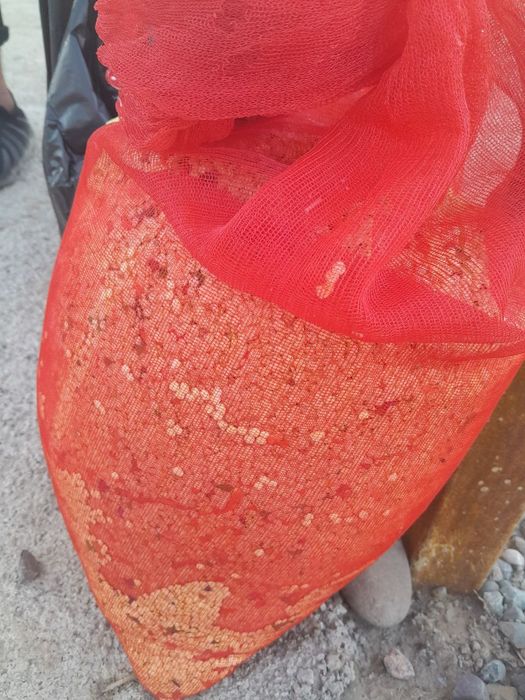 Balgarski urug Super lassika