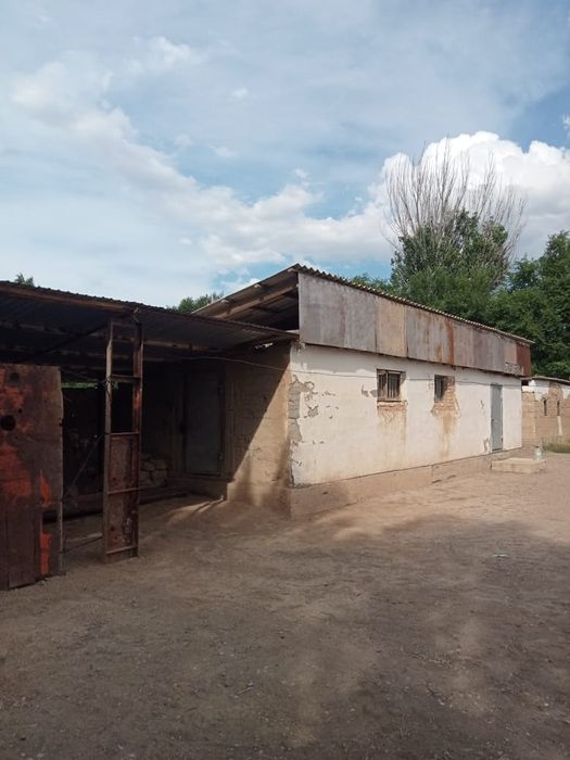Продам дом в сельской местности
