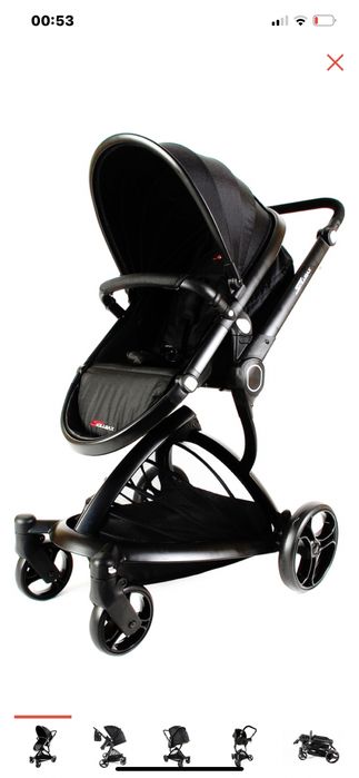 Коляска Pierre Cardin SkillMax 2в1 1609 черный