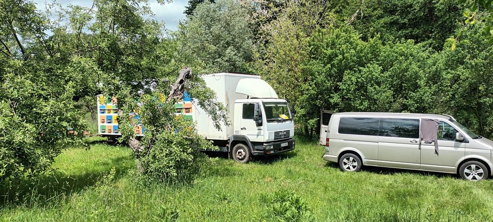 Miere de albine naturală 100%