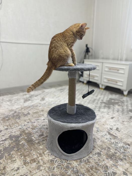 Продам домик для кошек