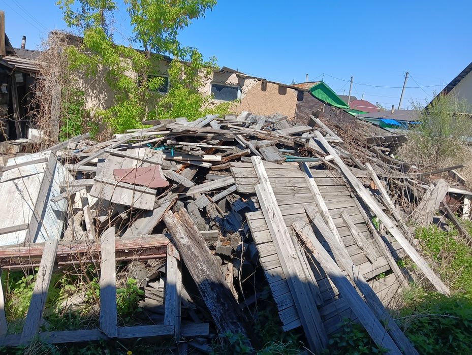 Дрова дерево старое