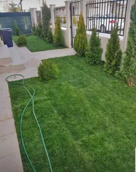 Gazon Verde Intens pentru Spații Rezidențiale