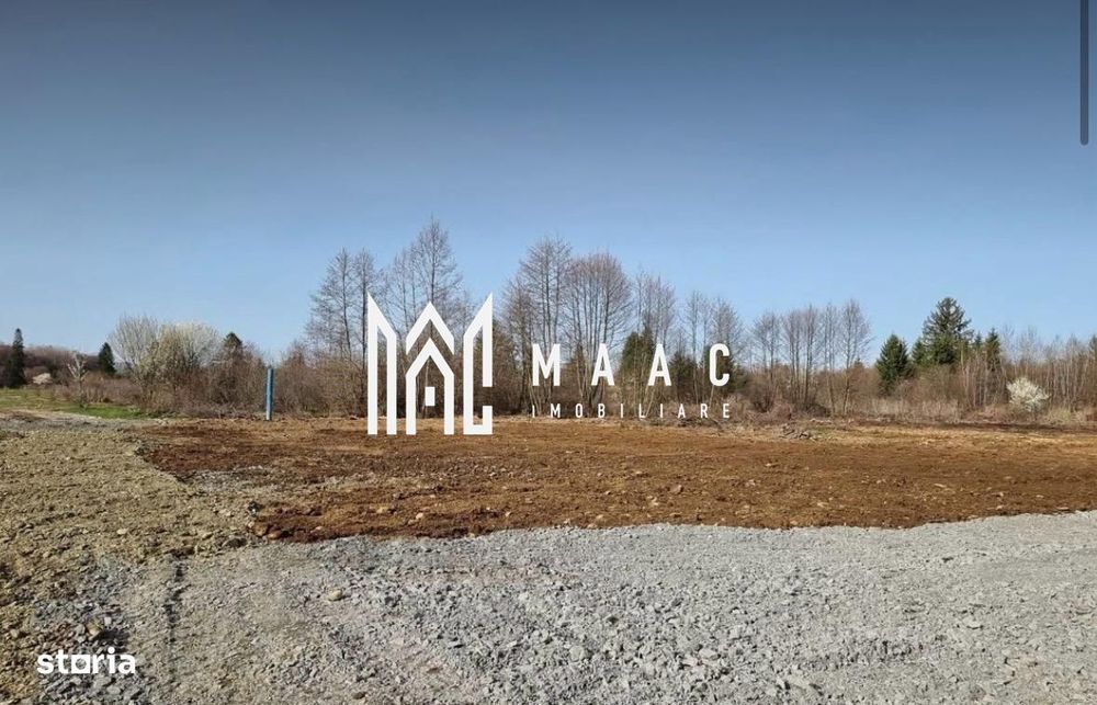 Teren Intravilan 4007 Mp I Valea Avrigului