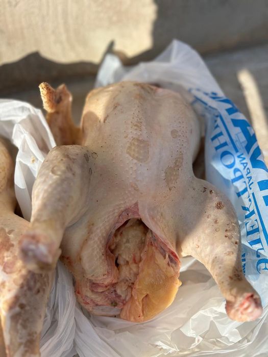 мясо индеек . индюк еті