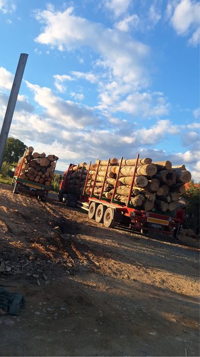 Lemn de foc fag de vanzare