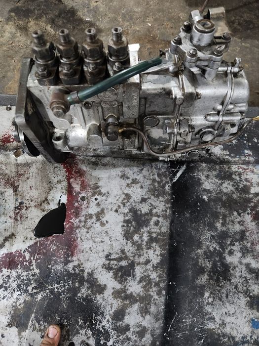 BT Gusunichniy altayniki