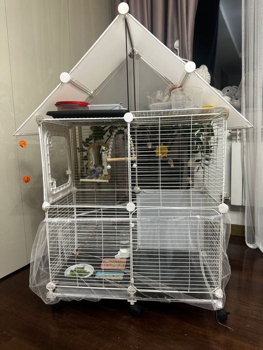 Попугай с клеткой