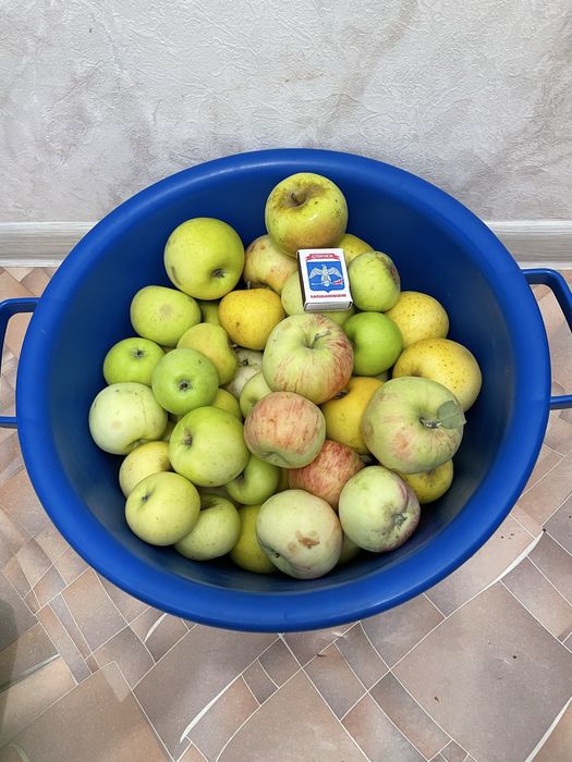 Продам домашние яблоки