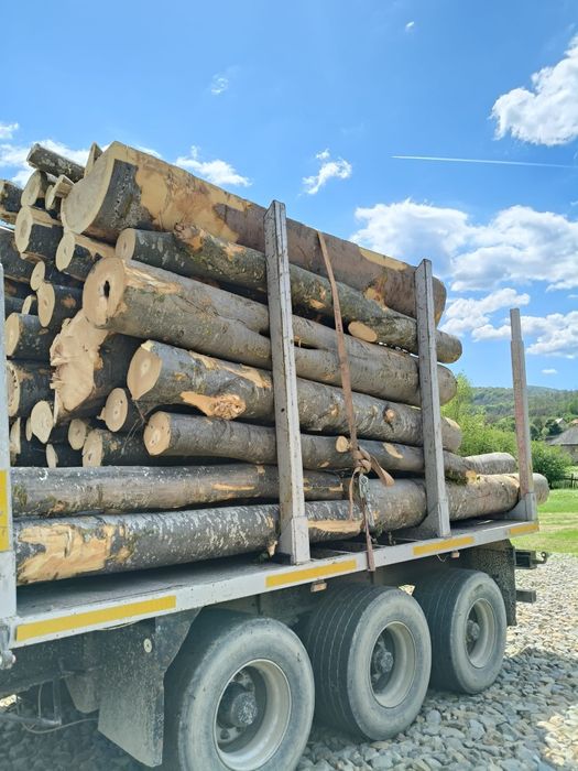 Lemn foc fag 430 mc transport inclus