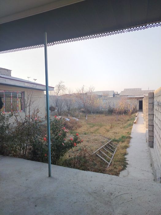 Hovli sotiladi 8 sutix