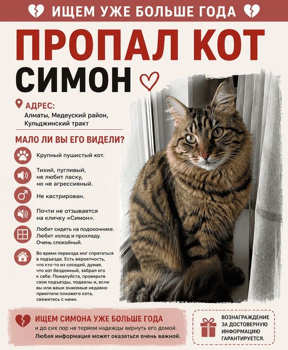 Пропал кот Симон в Медеуском районе