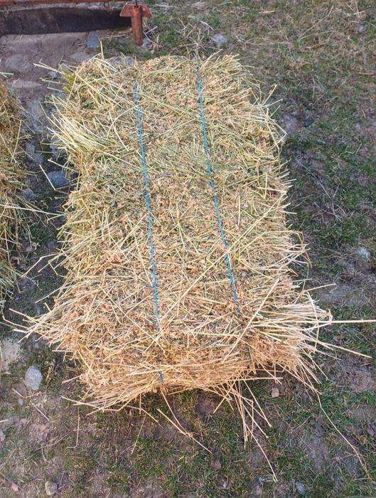 Vând baloti de lucernă