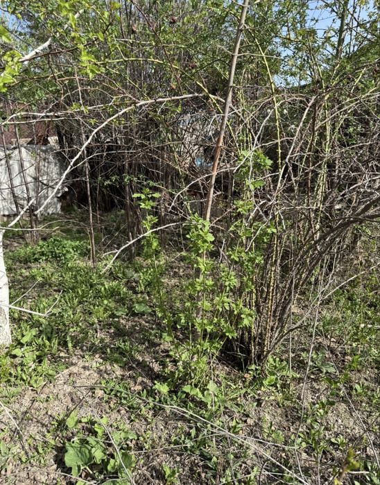 Продам дачу/12 соток