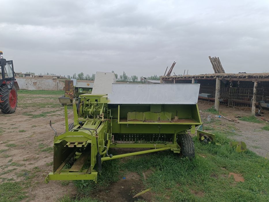 Class markant 65 podborshigi