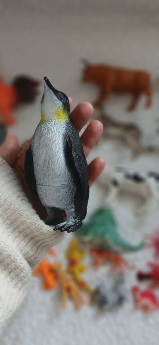 Животные очень много разных