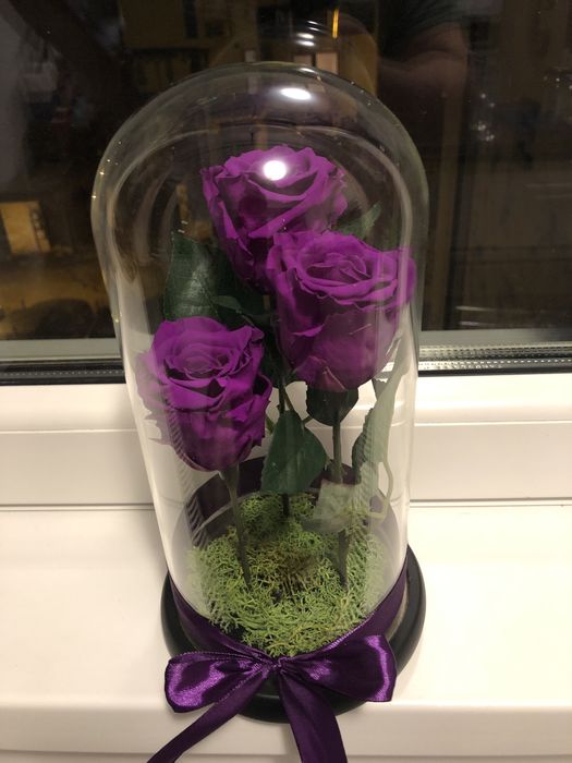 Buchet 3 criogenati in cupola cristalina 250 lei