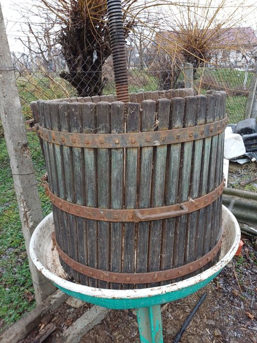 Teasc presat struguri