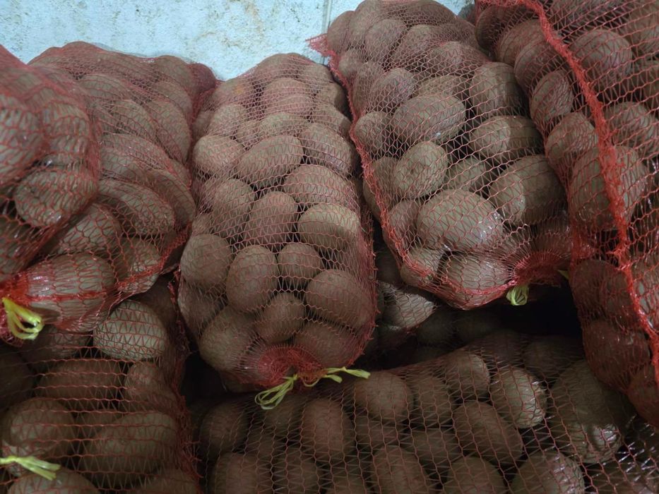 Вкусни картофи от производител