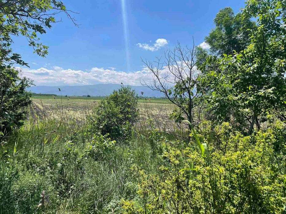 Продава се Парцел в с. Ягодово, Област Пловдив - 9003 кв.м за 15 €/кв.м - Снимка #2