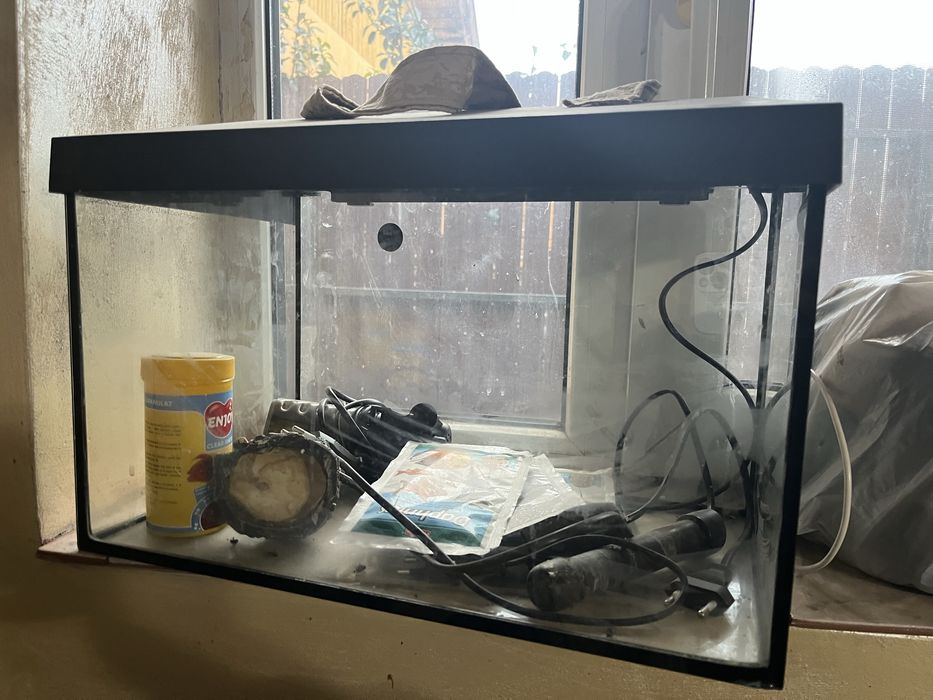 Vand acvariu pentru pesti